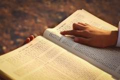 photo_2023-10-24_15-10-30