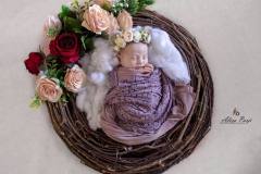 photo_2023-12-03_12-37-36